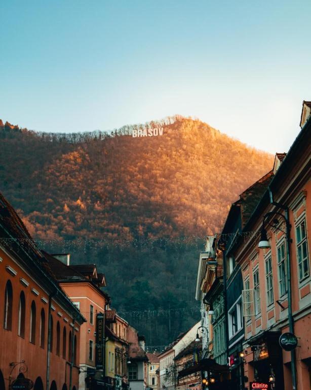 Coresi, 2 Camere, Sleeps 6 Large Private Garden Apartment Pets Welcome Brasov Ngoại thất bức ảnh