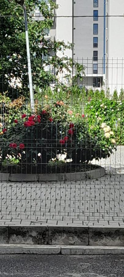 Coresi, 2 Camere, Sleeps 6 Large Private Garden Apartment Pets Welcome Brasov Ngoại thất bức ảnh