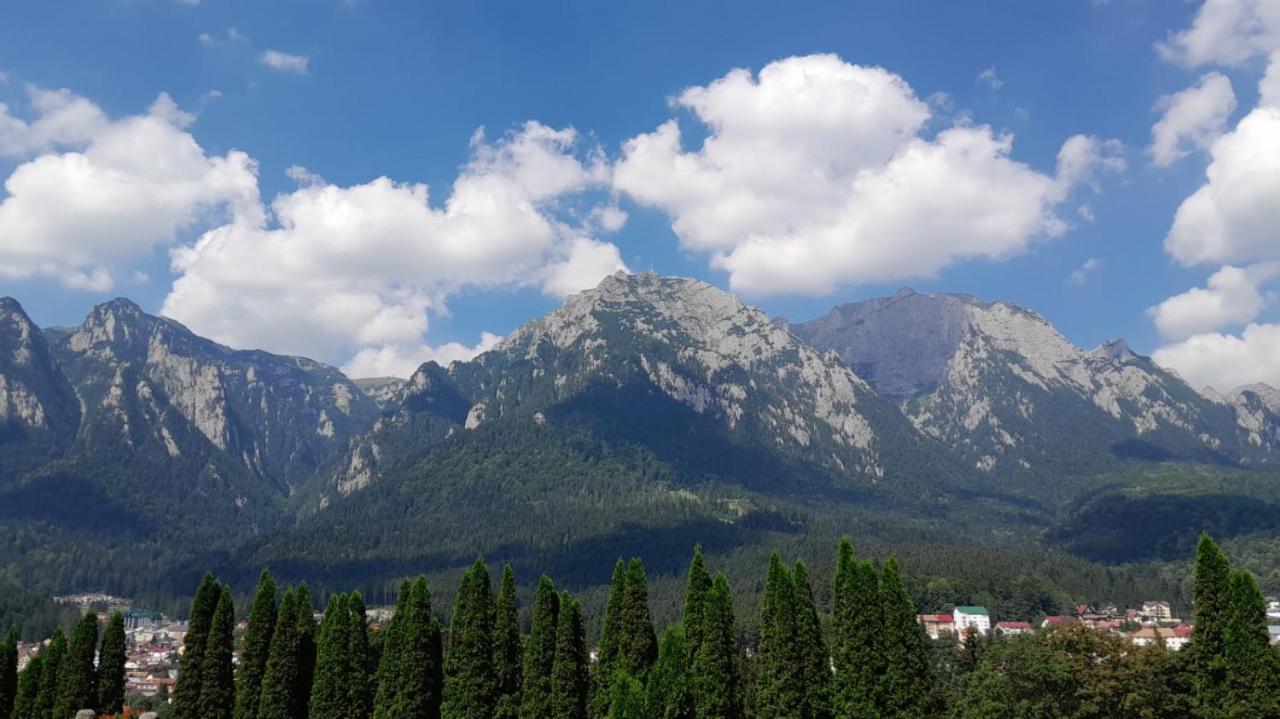 Coresi, 2 Camere, Sleeps 6 Large Private Garden Apartment Pets Welcome Brasov Ngoại thất bức ảnh